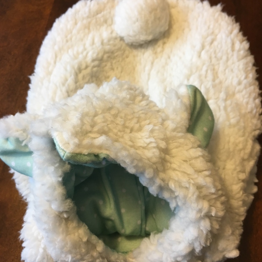 Lamb Dog Outfit